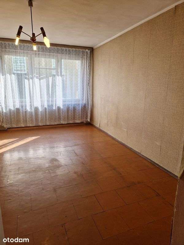 Centrum Kochanowskiego Rybnicka-0