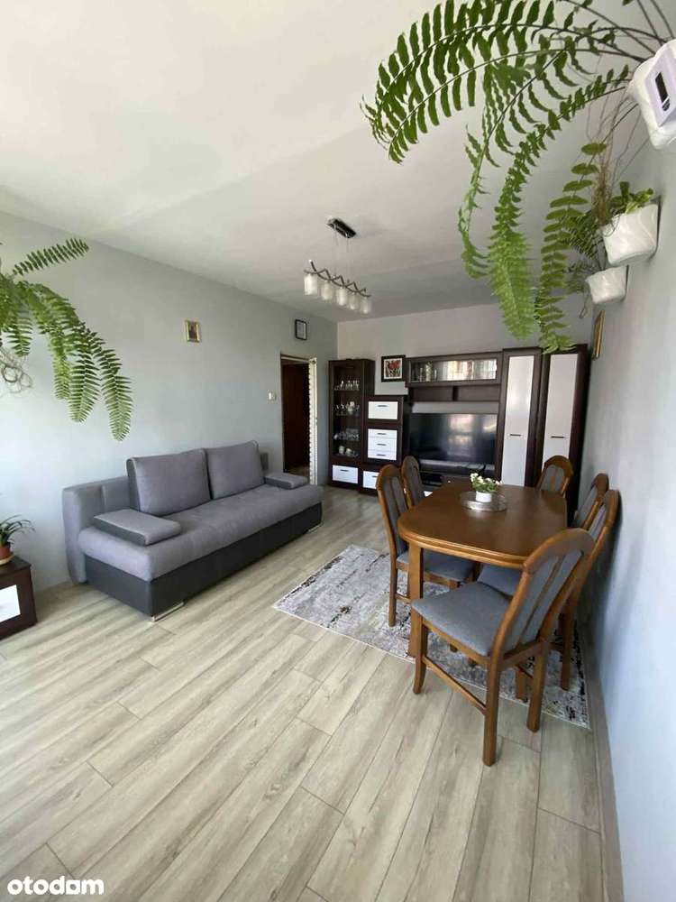 Przestronne wyremontowane mieszkanie M4 (60,2 m²) bez pośredników - Pełny obrazek: 4/16