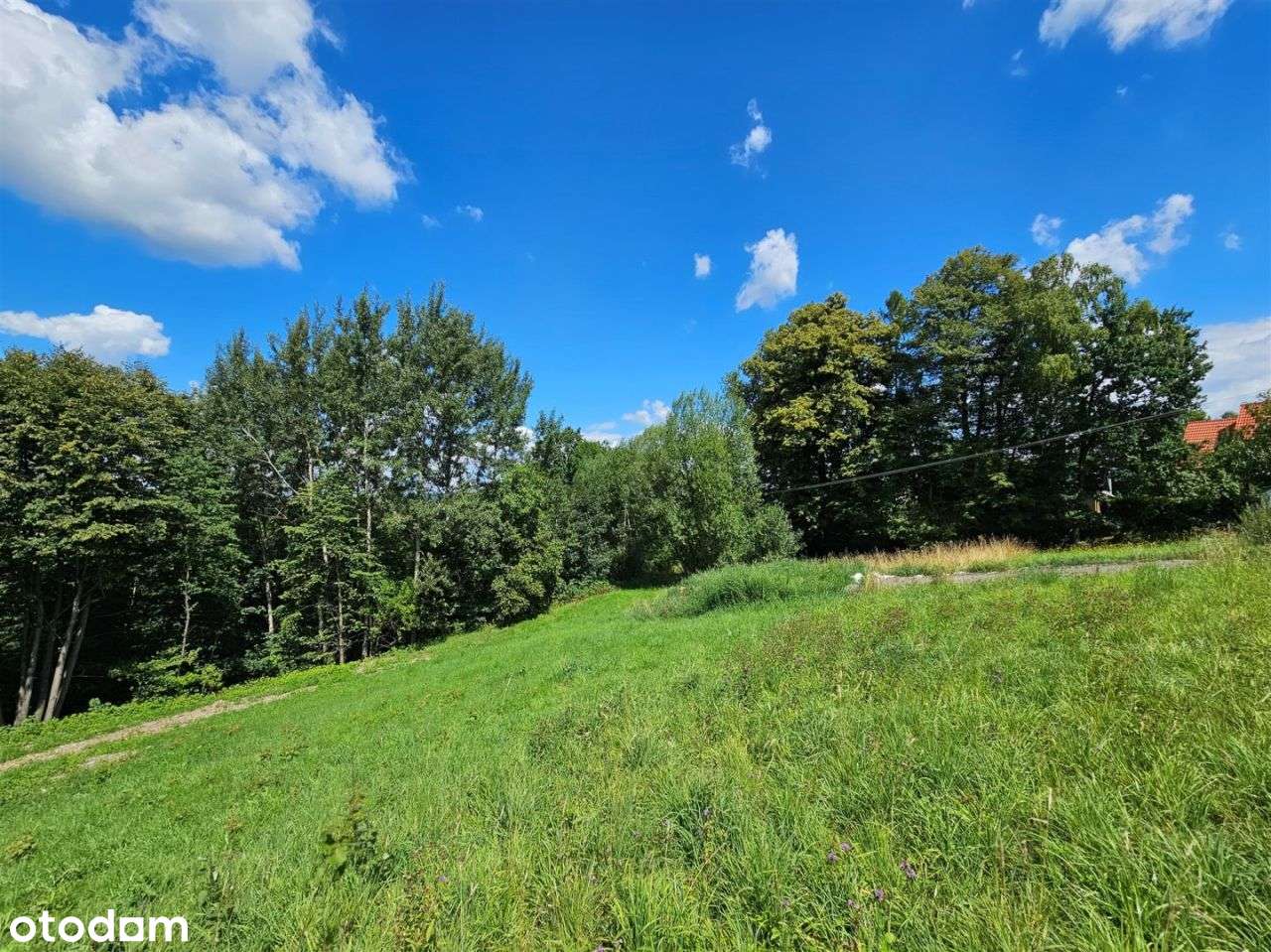 Działka budowlana 8 arów w spokojnym miejscu.-5
