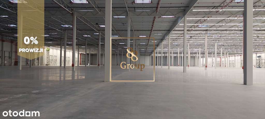 Do wynajęcia magazyn 2835m2 w Grodzisku Maz. - Pełny obrazek: 3/4