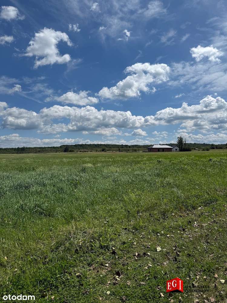 Działka_Chruszczobród_Zieleń nieurządzona-2