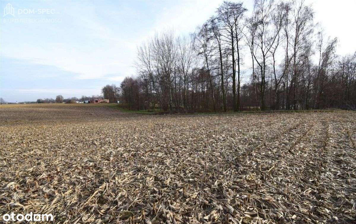 Działka budowlana - media w drodze | Woda na dział-0