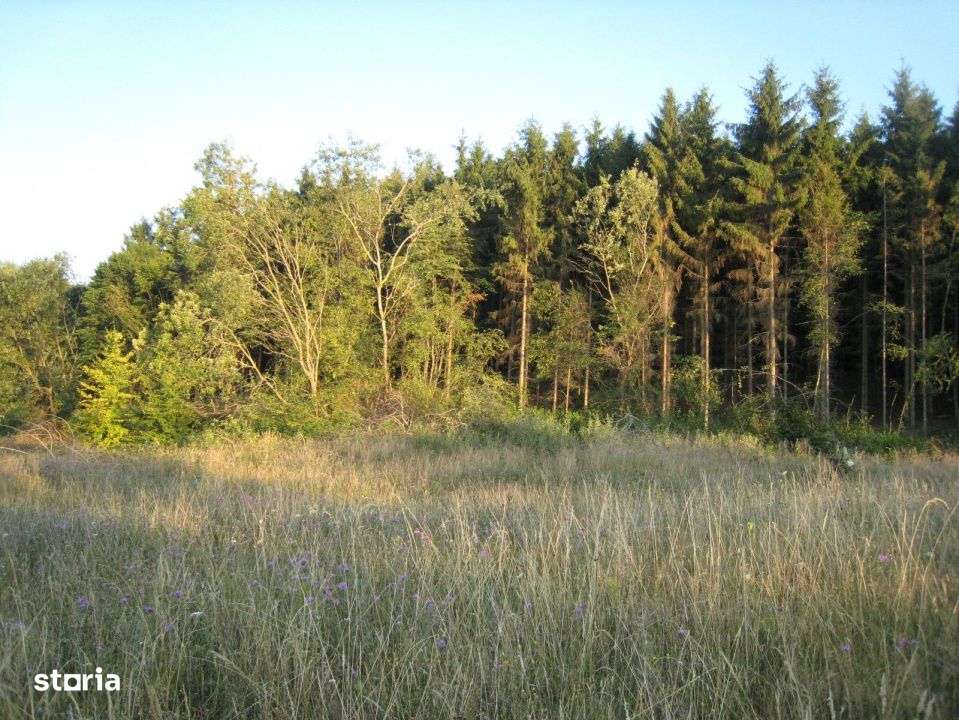 INVESTITIE! Teren intravilan 5700mp - Chinteni, jud Cluj! - Imagine principală: 3/3