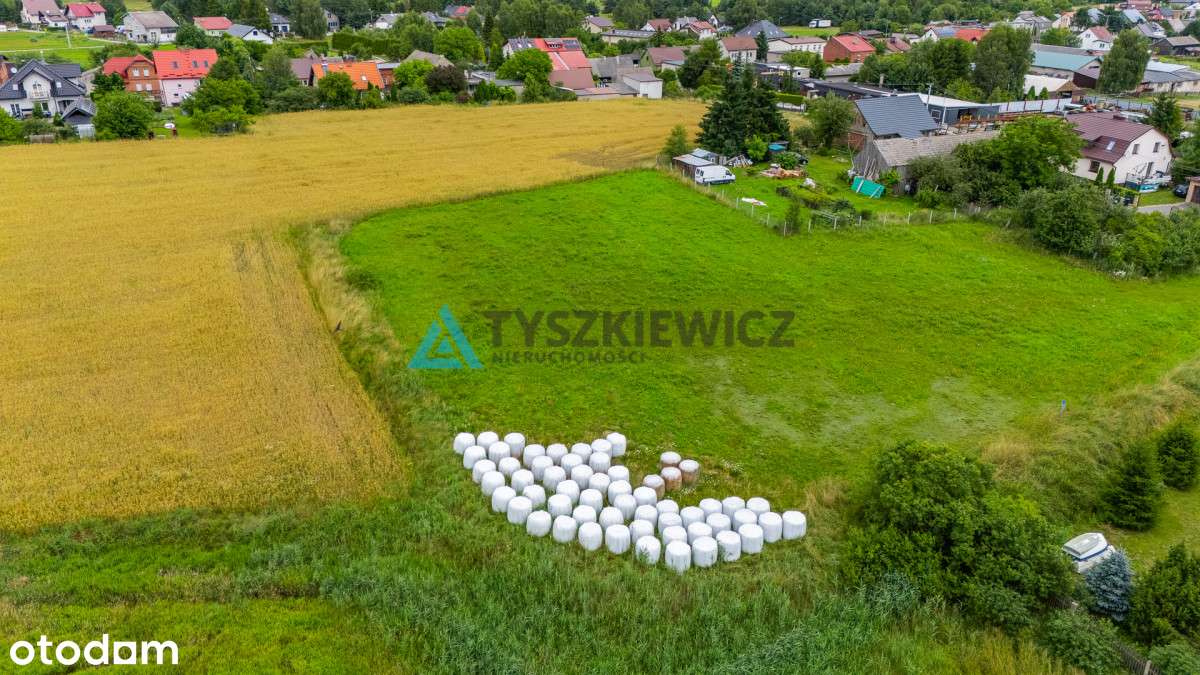 Działka 1504 m² – Łąg, gmina Czersk – przy Dk22! - Pełny obrazek: 5/12