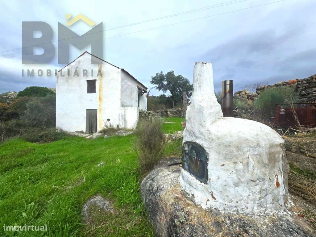 Quinta perto de Monsanto - Grande imagem: 2/37