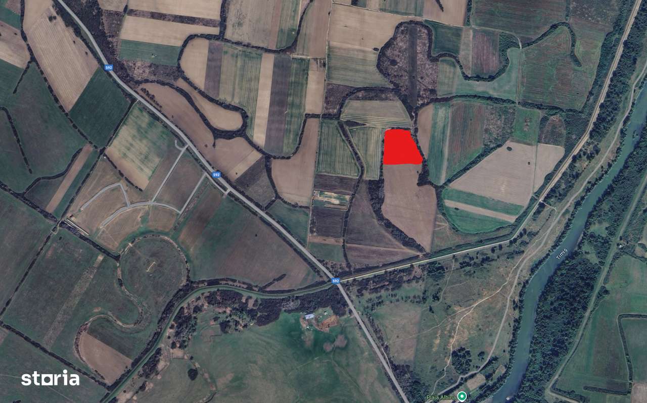 Proprietar vand teren arabil extravilan - Albina (Mosnita Noua) - Imagine principală: 1/2