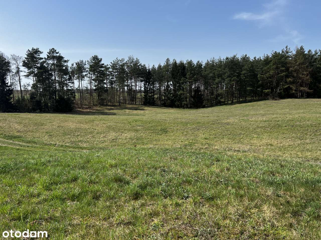 Prywatne Mazury - 4,27ha z linią brzegową jeziora Tałty-7