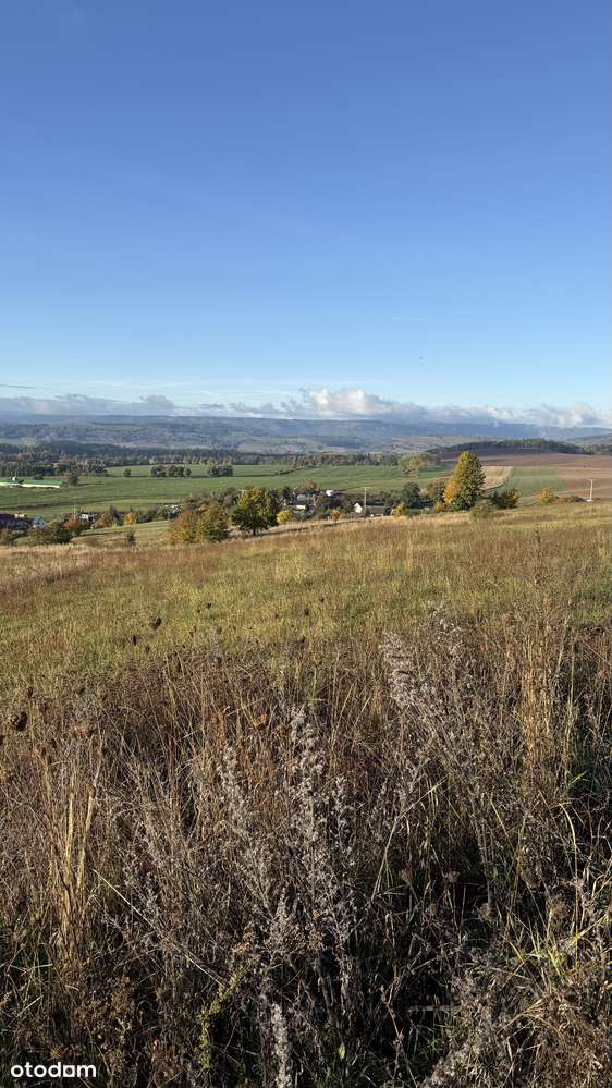 Działka z widokiem w Bożkowie - 1600 m2 - Pełny obrazek: 4/4