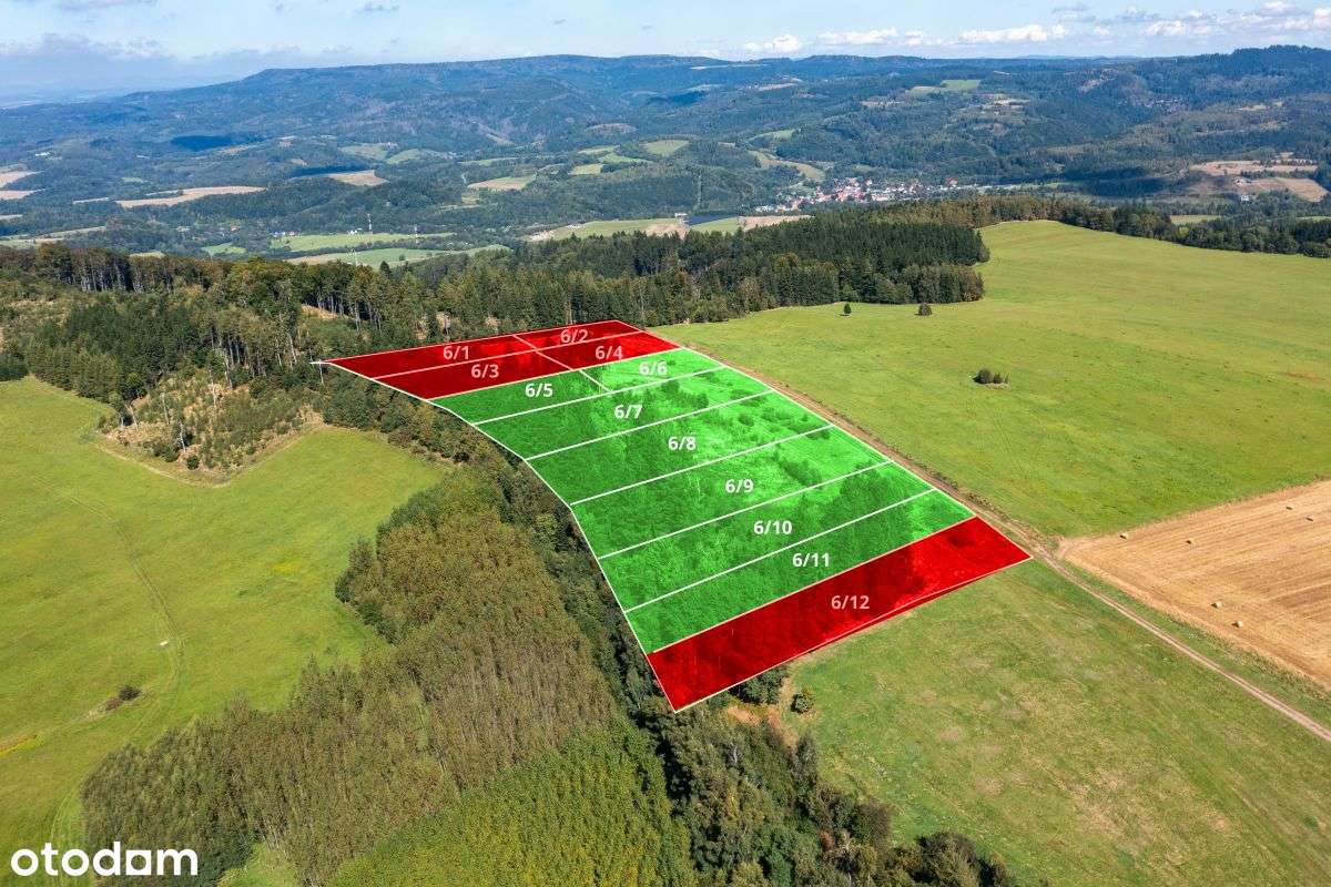 Działka widokowa z własnym lasem - Pełny obrazek: 4/10