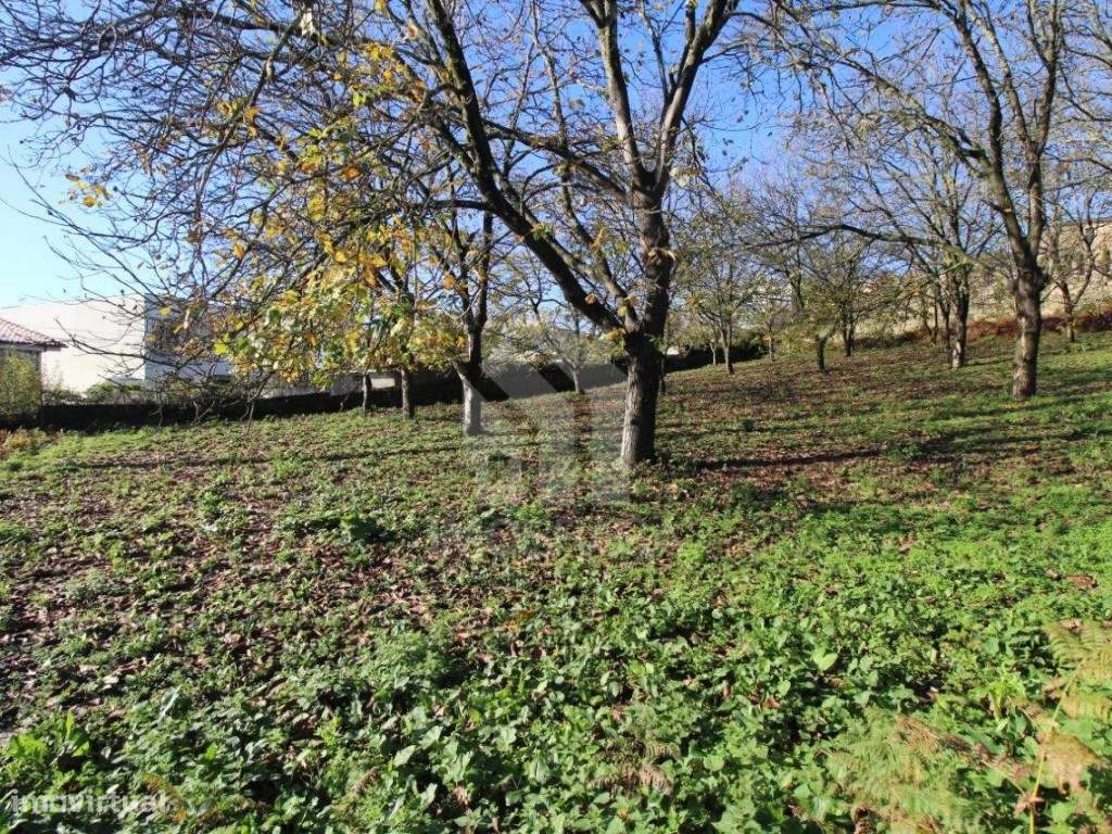 Venda de Terreno para Lotear, em Gualtar, Braga-19