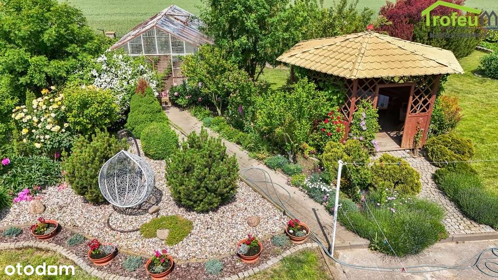 Nieruchomość z bardzo dużym potencjałem!!! - Pełny obrazek: 5/20