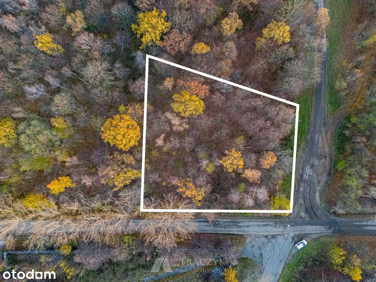 Dla inwestora / handel, usługi /market spożywyczy - Pełny obrazek: 4/13