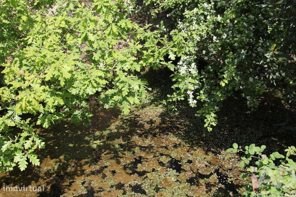 Terreno Agrícola em Oliveira do Hospital e São Paio de Gramaços-23