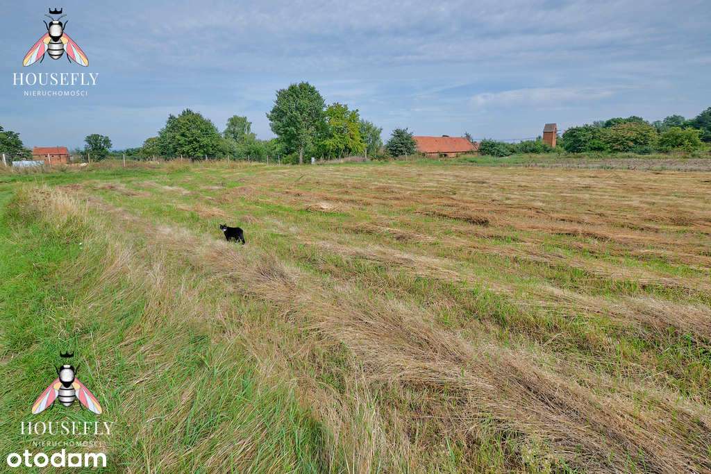Działki budowlane w pobliżu Bytomia Odrzańskiego - Näkymä 5