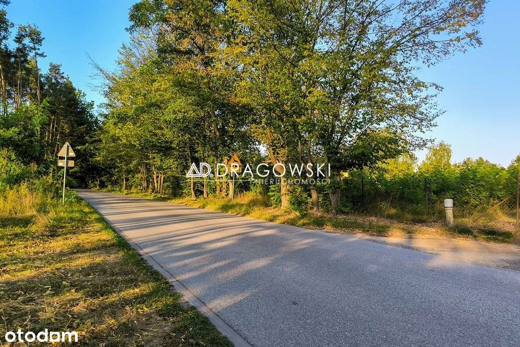 Duża działka w leśnej okolicy, Musuły, Żabia Wola-1