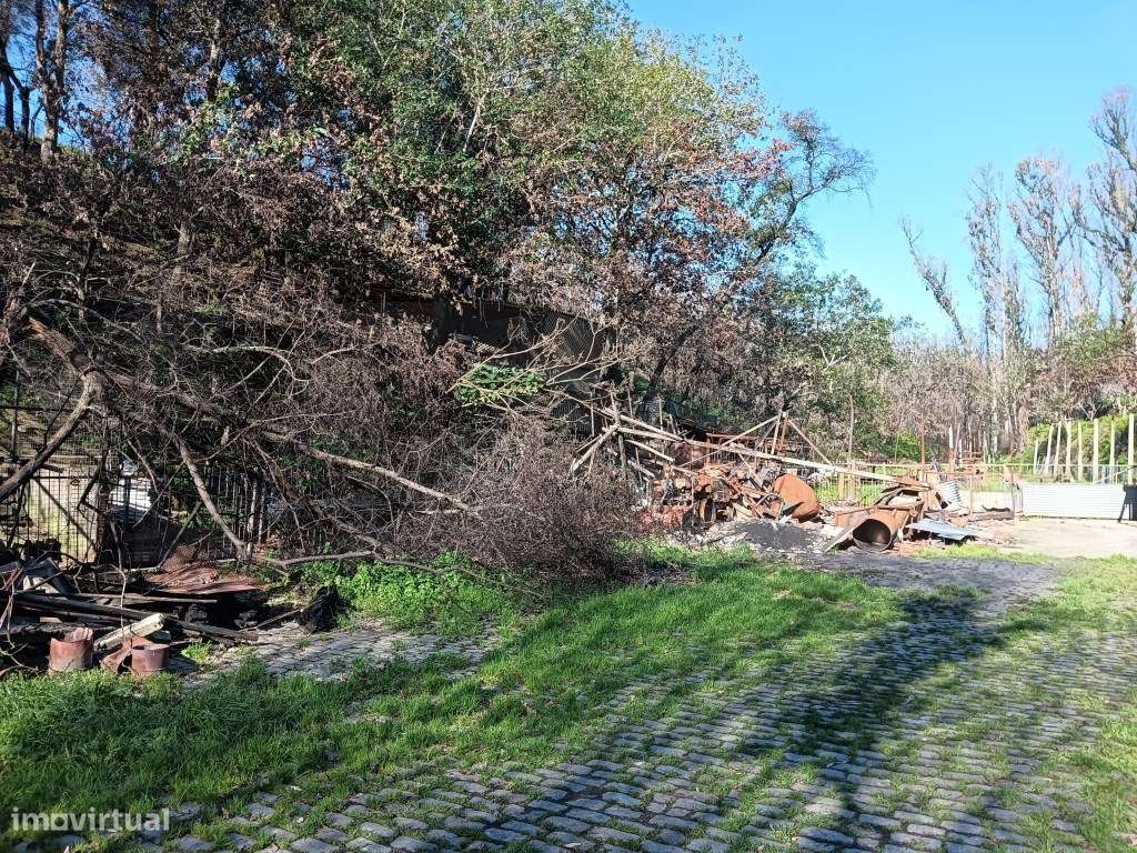 Terreno / Quinta para construção de moradia - Angeja - Grande imagem: 2/21