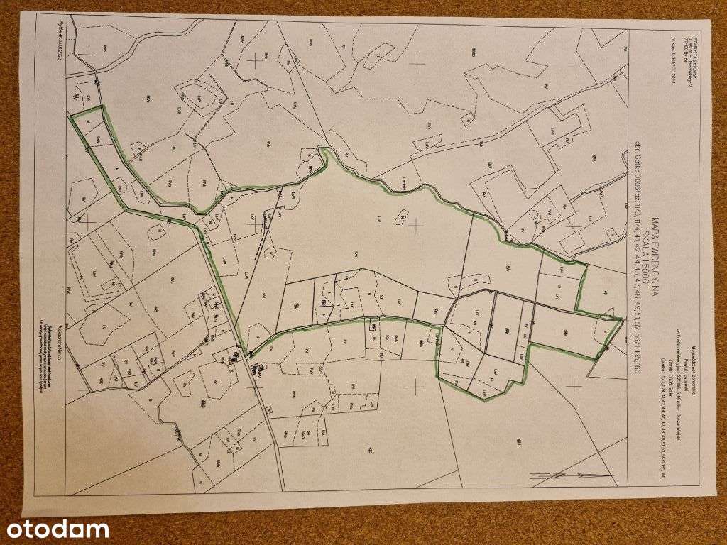 Las 37 ha sprzedam, pow. Bytów - Pełny obrazek: 4/5