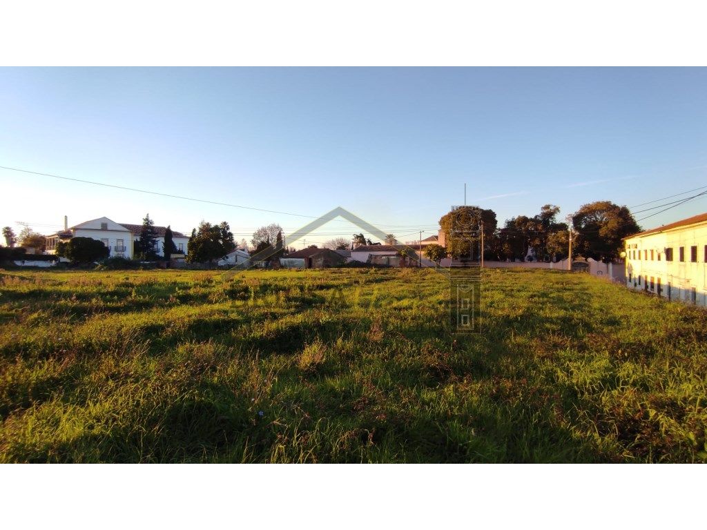 Terreno Urbano em São Martinho do Bispo