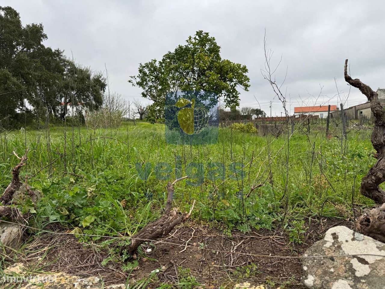 Moradia T6 com Vista Campo em Averangel, Castelo do Bode, Tomar-49