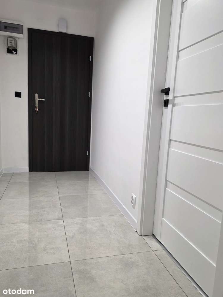 Nowoczesne 3 pokojowe mieszkanie po remoncie Tysiąclecie - Pełny obrazek: 4/6