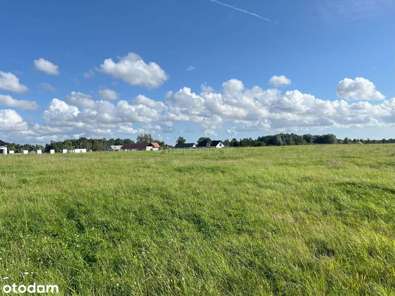 Duża działka na przedmieściach Kołobrzegu! - Pełny obrazek: 5/12