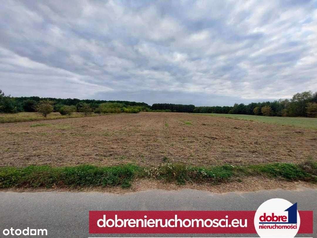 Rewelacyjna działka 26 489 m2, Myślęcinek - Pełny obrazek: 2/3