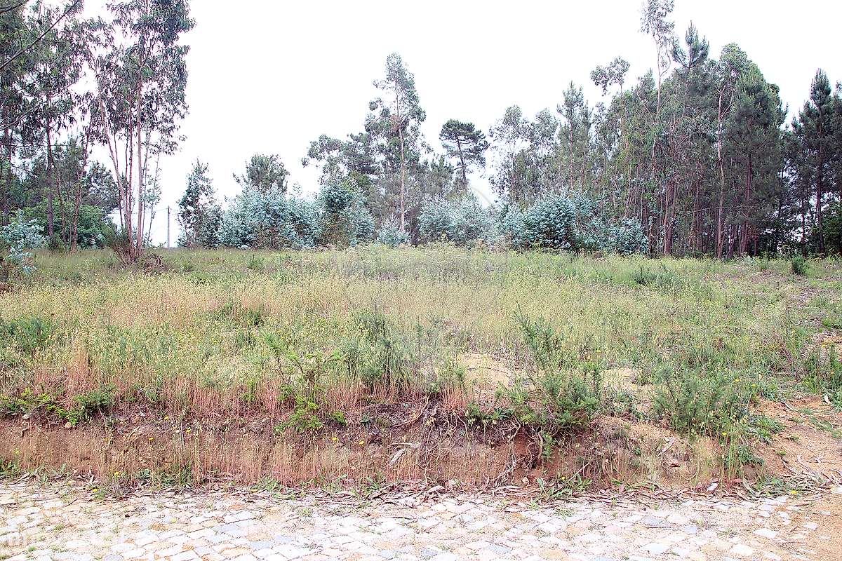 Terreno  para venda-25