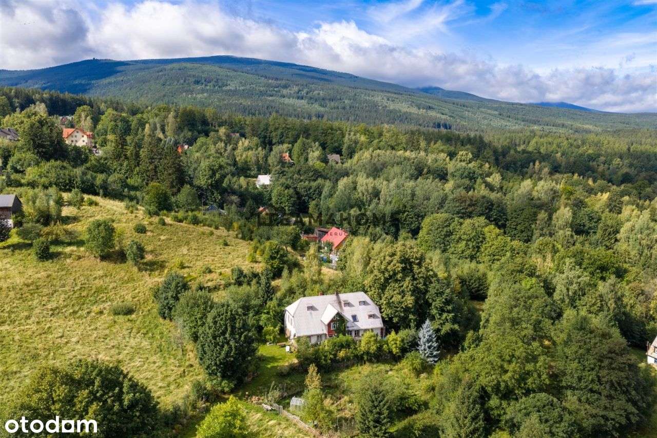 Dom na sprzedaż, 10 pokoi, 350 m², Przesieka