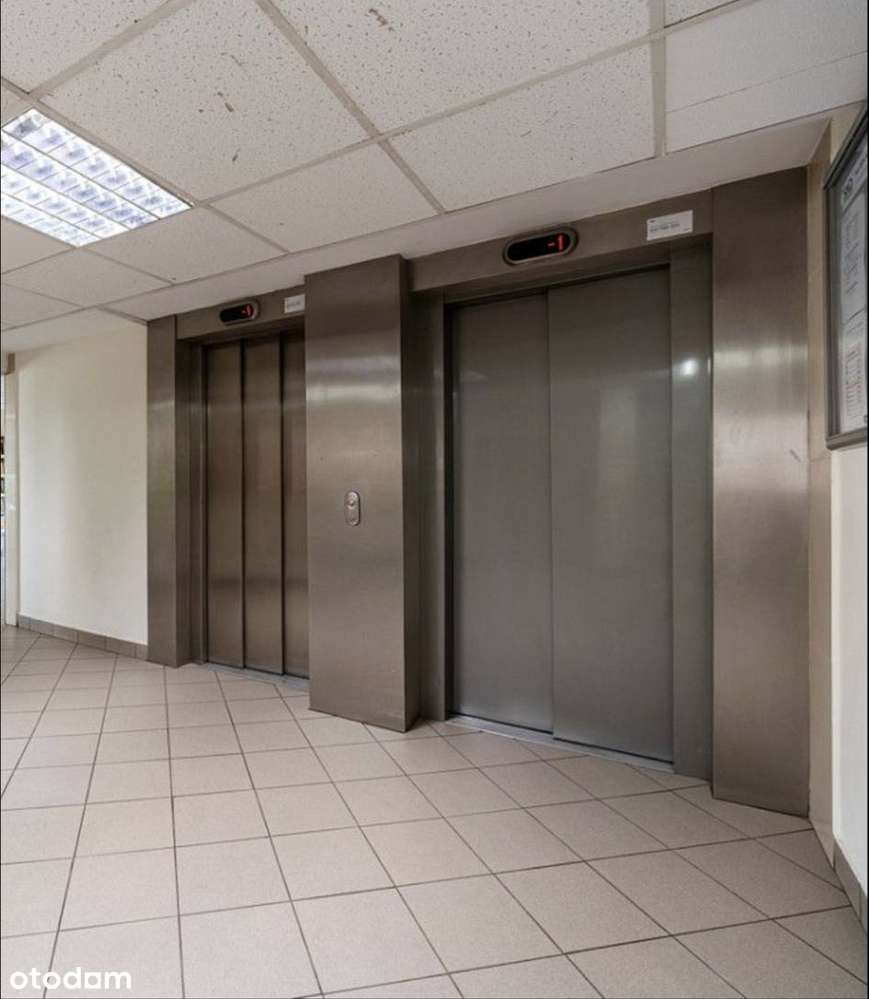 Bezpośrednio: Metro Służew, ustawne 3 pokoje do remontu - Pełny obrazek: 5/5