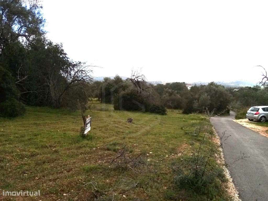 Terreno Rustico com 1930 m2, Loulé, Algarve - Grande imagem: 3/11