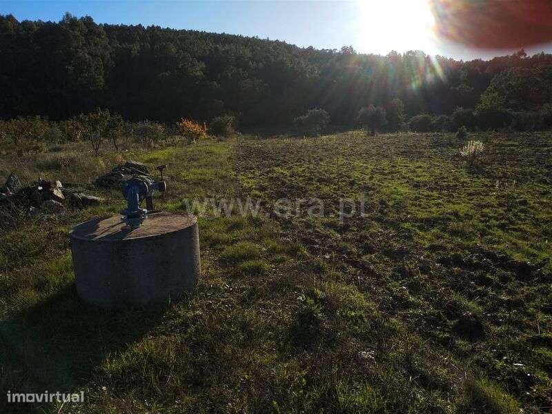 Terreno com ruina / Fundão, Enxames - Grande imagem: 3/3