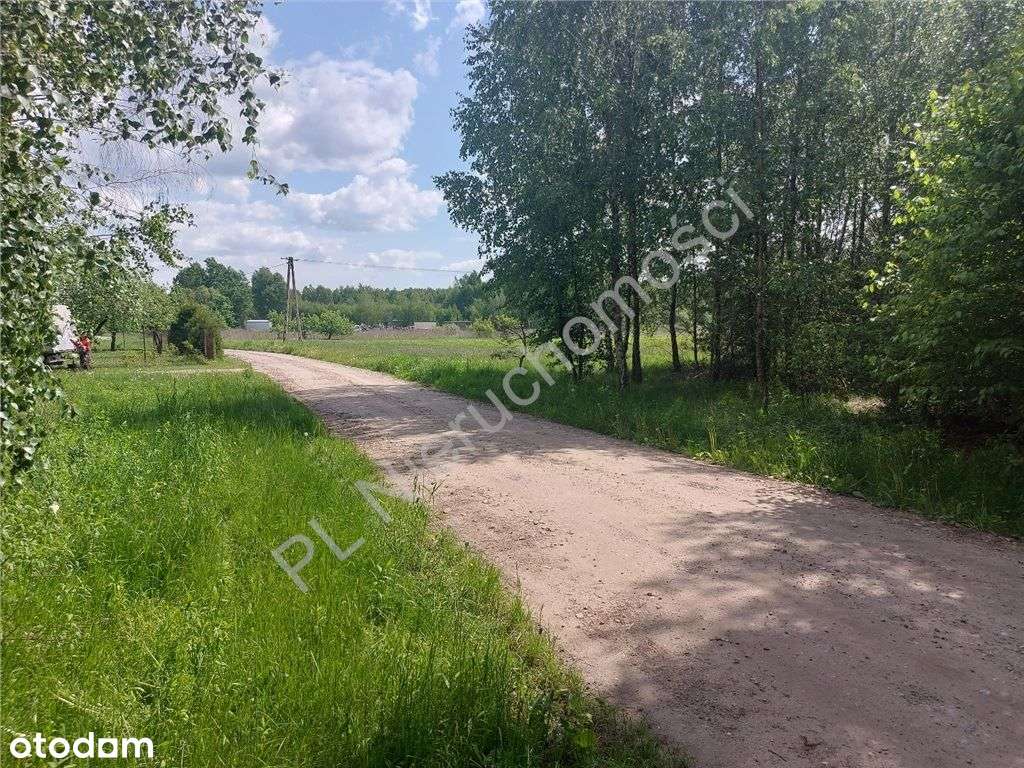 Działka, 2 300 m², Strugi Krzywickie - Pełny obrazek: 4/17