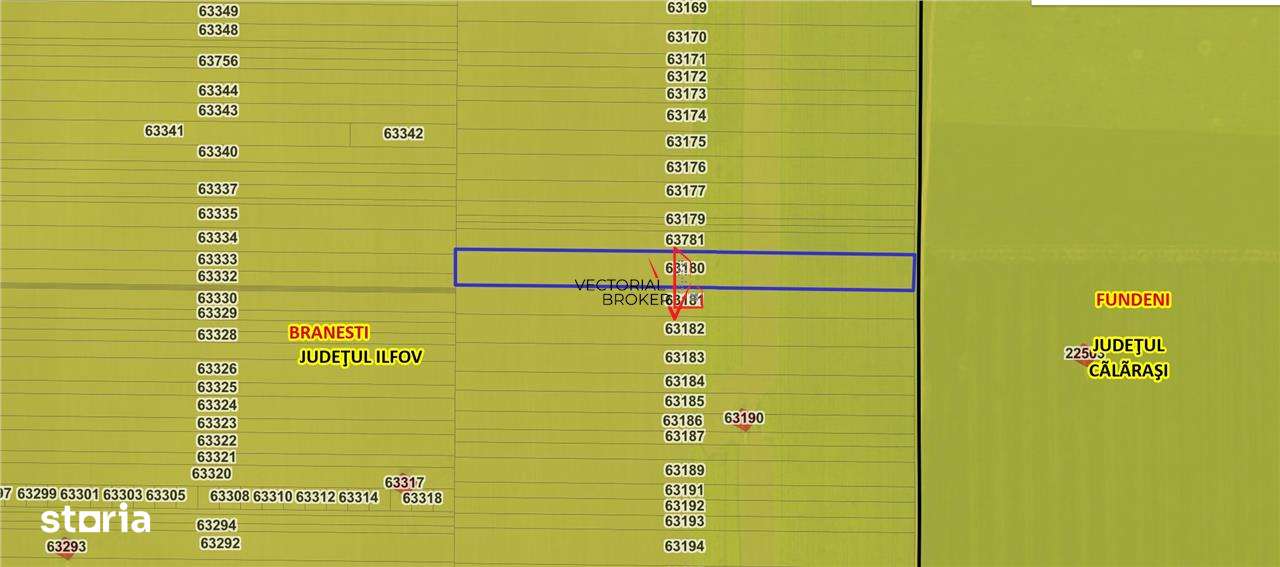 Teren extravilan 12.167 mp – Branesti, Ilfov – deschidere 27 m - Imagine principală: 2/4