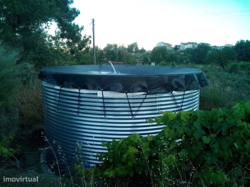 Imóvel p/ recuperar e Plantações. - Grande imagem: 4/11