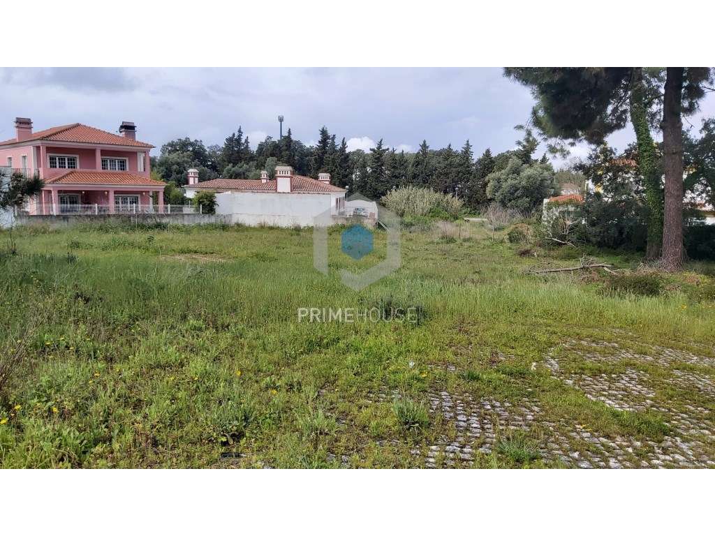 Terreno para Serviços - Grande imagem: 2/15