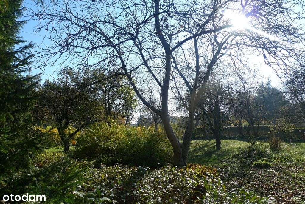 dom w mieście z ogrodem lub działka inwestycyjna!-4