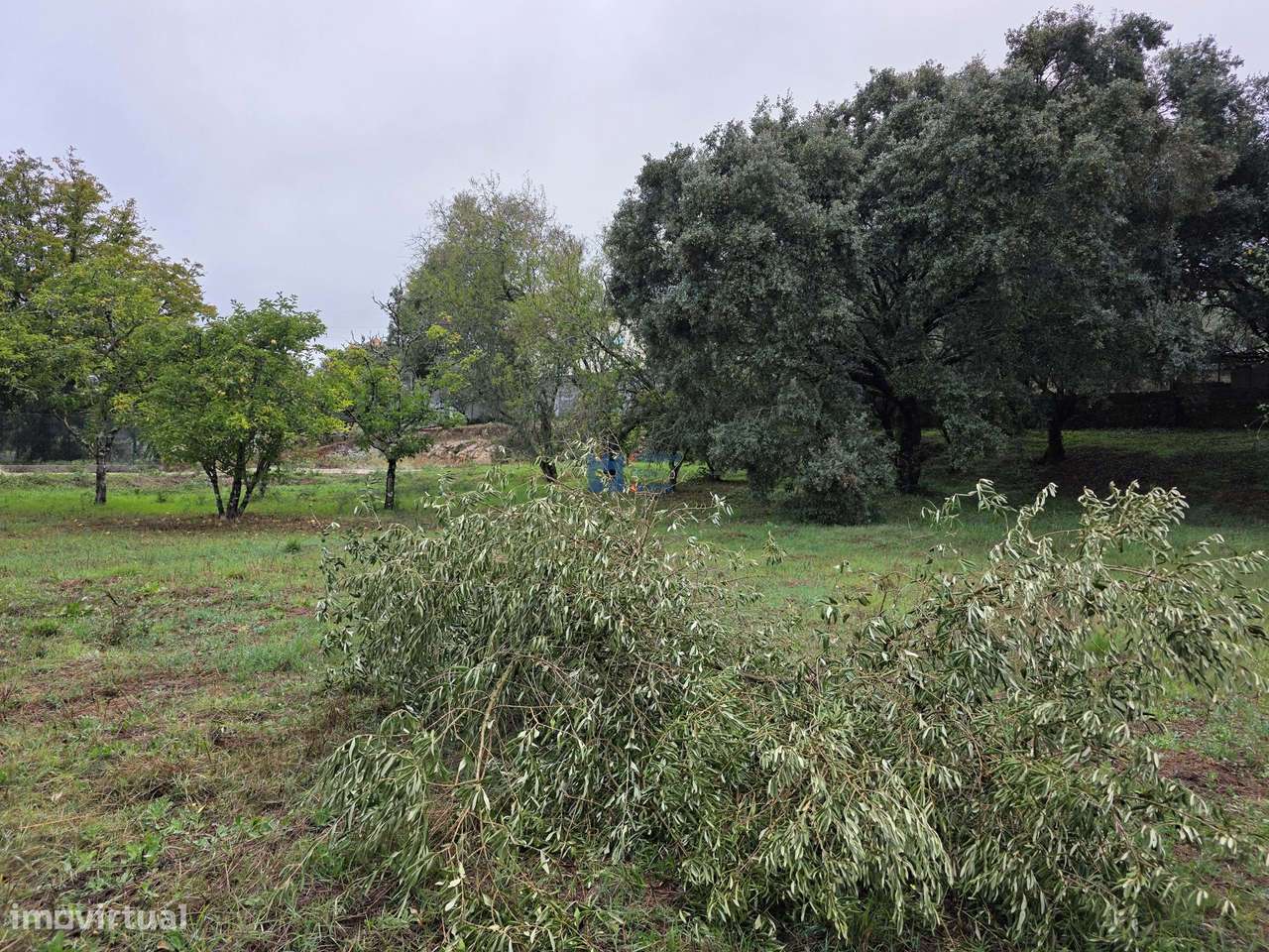 Lotes de Terreno para Construção em Fátima-23