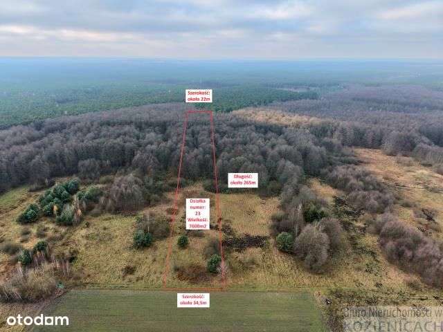 Działka budowlana Chinów-7