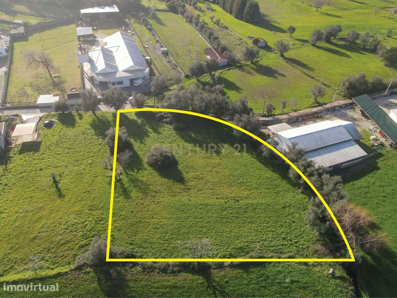 Terreno com viabilidade de Construção em Cernache, Coimbra. - Grande imagem: 2/13
