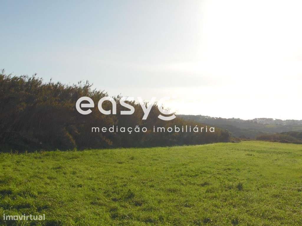 Terreno rústico em Arneiros dos Marinheiros com furo - Parasousa - Grande imagem: 2/2