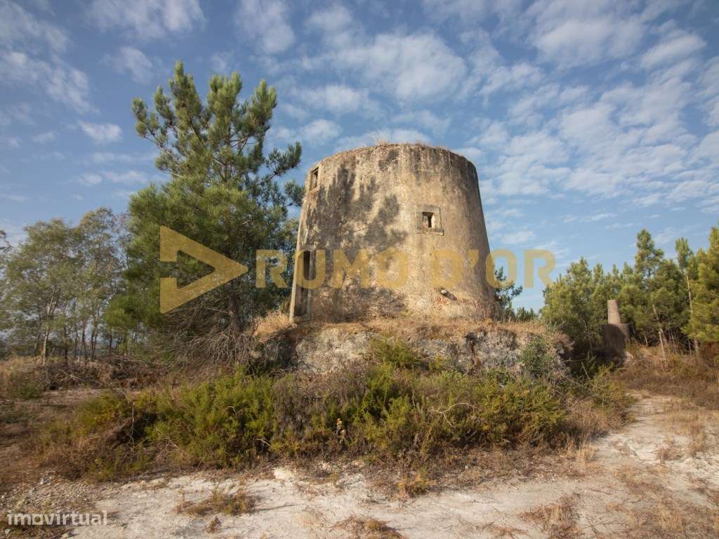 Moinho em Surraipas, Pocariça-9