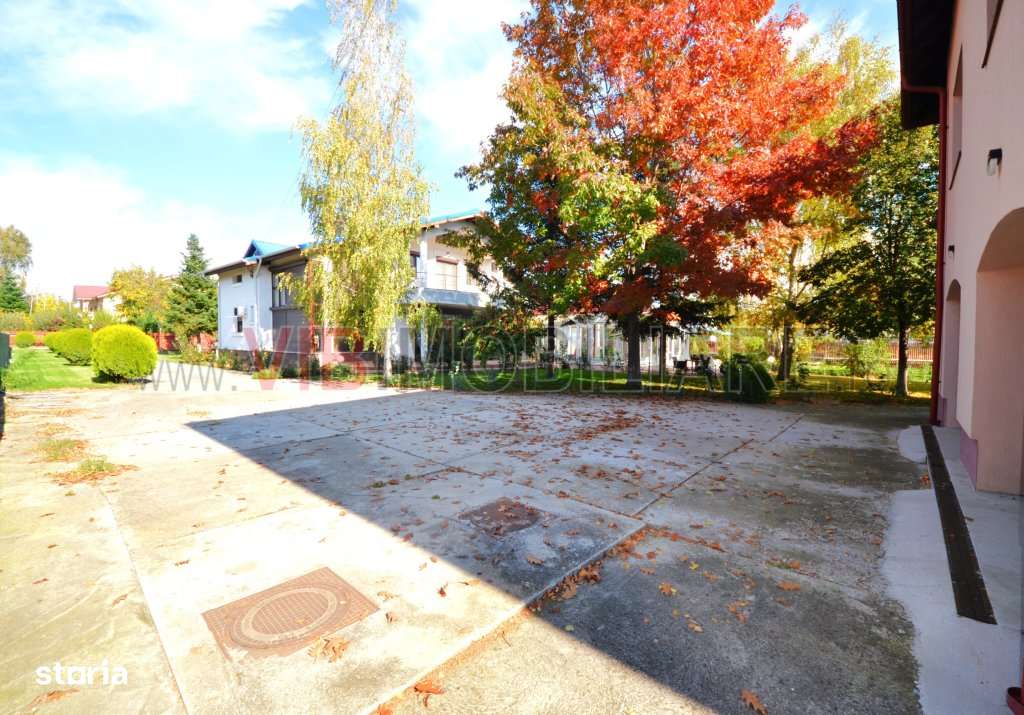 DOMENIU REZIDENȚIAL PRIVAT - Otopeni, Drumul Odaii - Imagine principală: 4/20