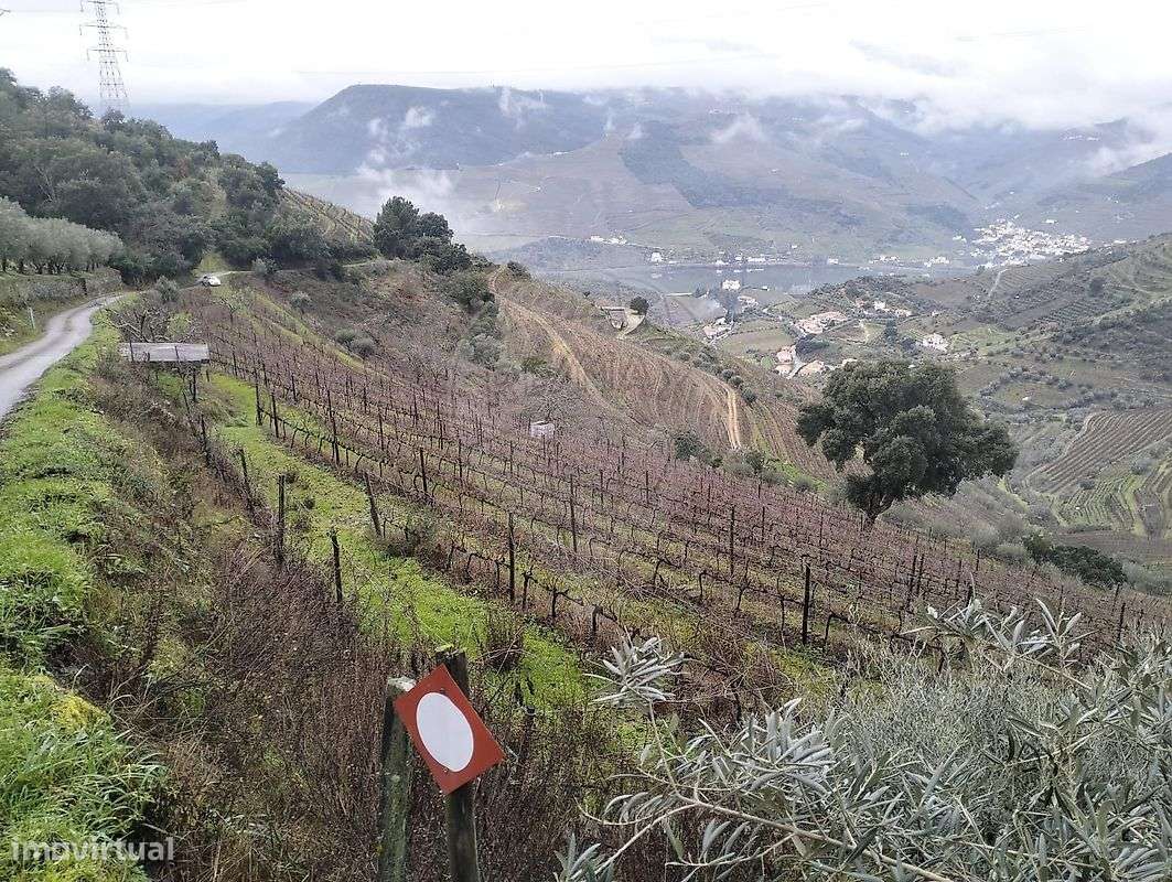 Terreno  para venda - Grande imagem: 5/5