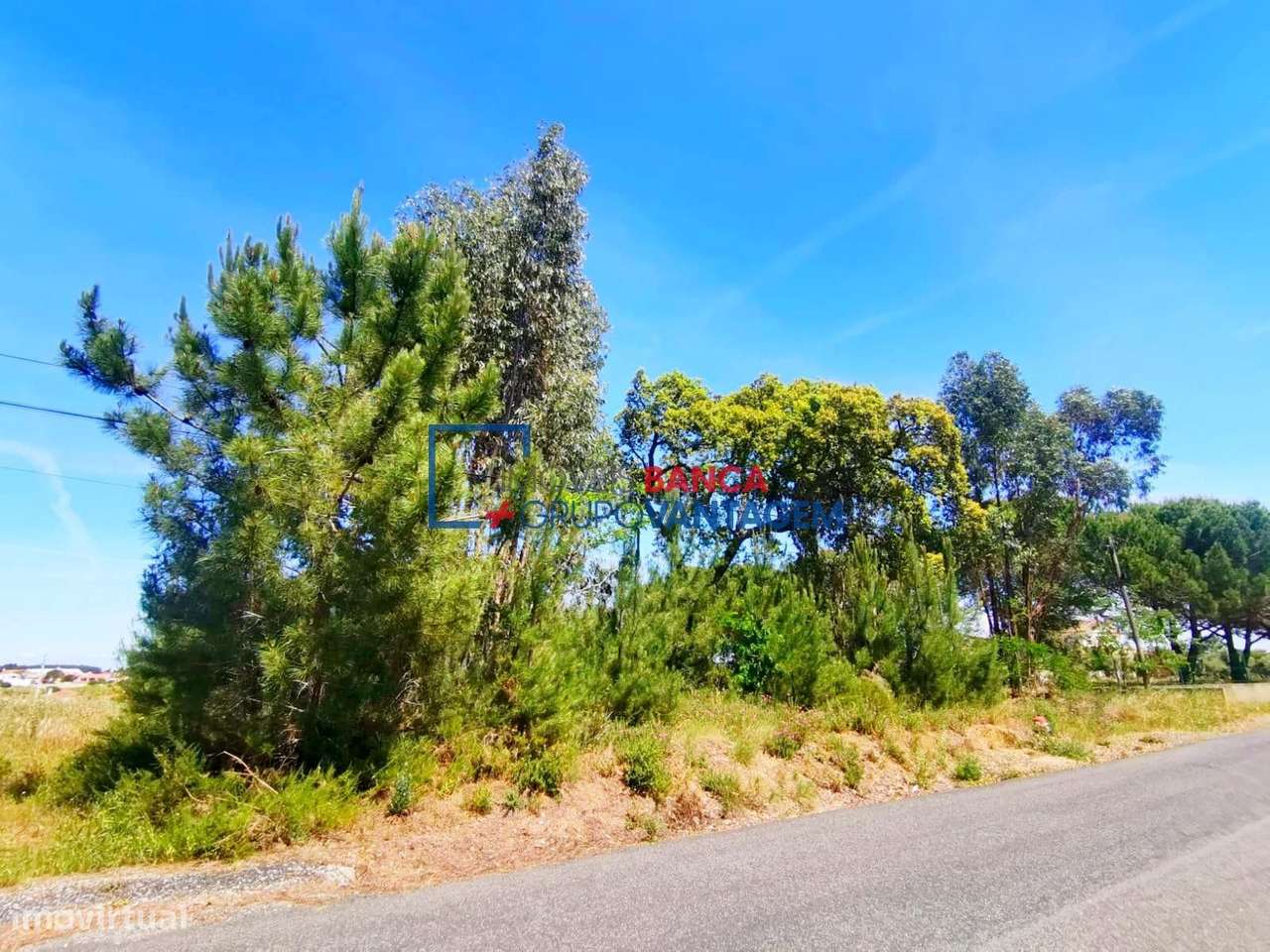 Terreno Rústico em Lapa - Grande imagem: 4/12