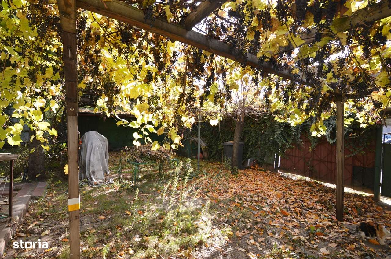 Garsoniera Baba Novac | Curte Generoasa | Localizare Excelenta - Imagine principală: 4/20