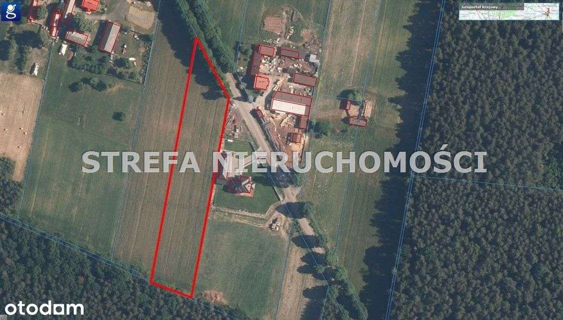 Piękna, szeroka działka w Tarnowskiej Woli - Pełny obrazek: 5/5