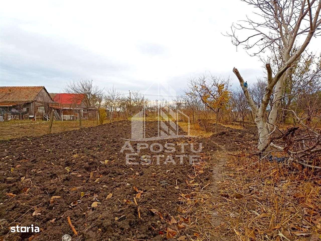 Teren 1000mp Cu Utilitati Dudesti Noi - Imagine principală: 3/13