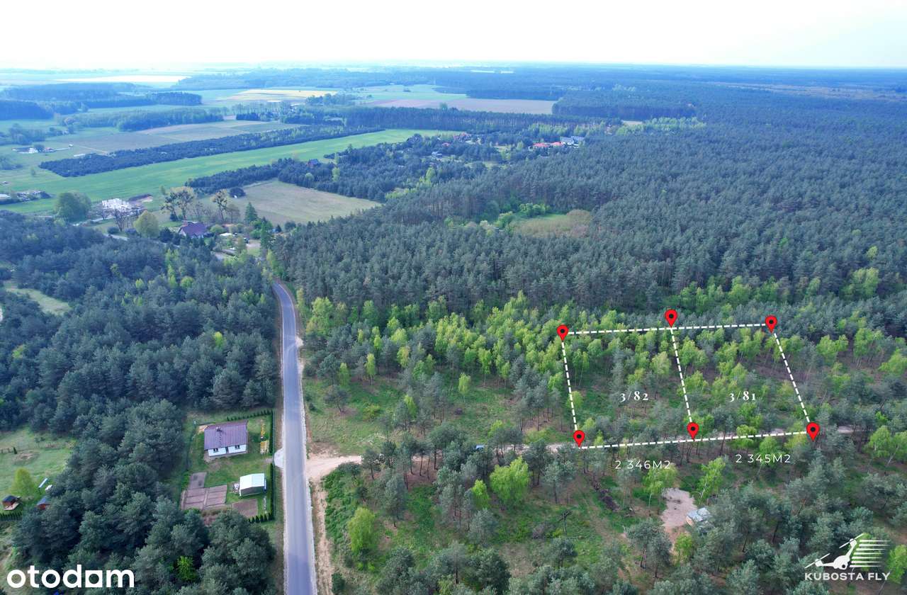 Działka ze starodrzewiem - Puszcza Zielonka Karczewko-3