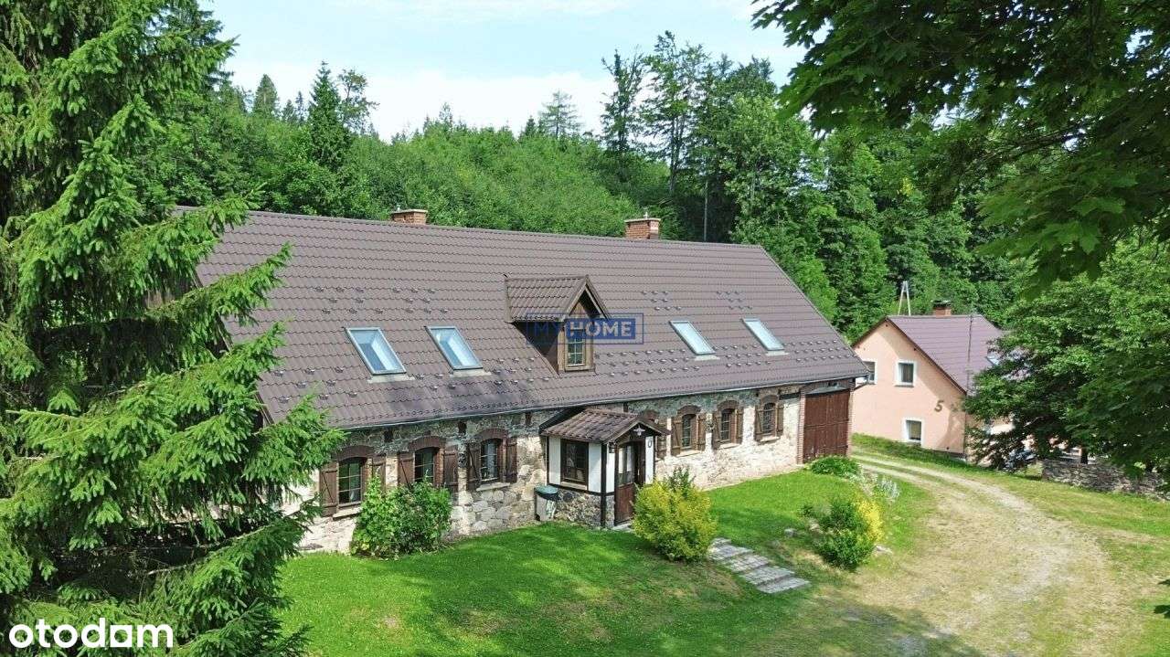 Dom na Zielonym Wzgórzu - Pełny obrazek: 4/13