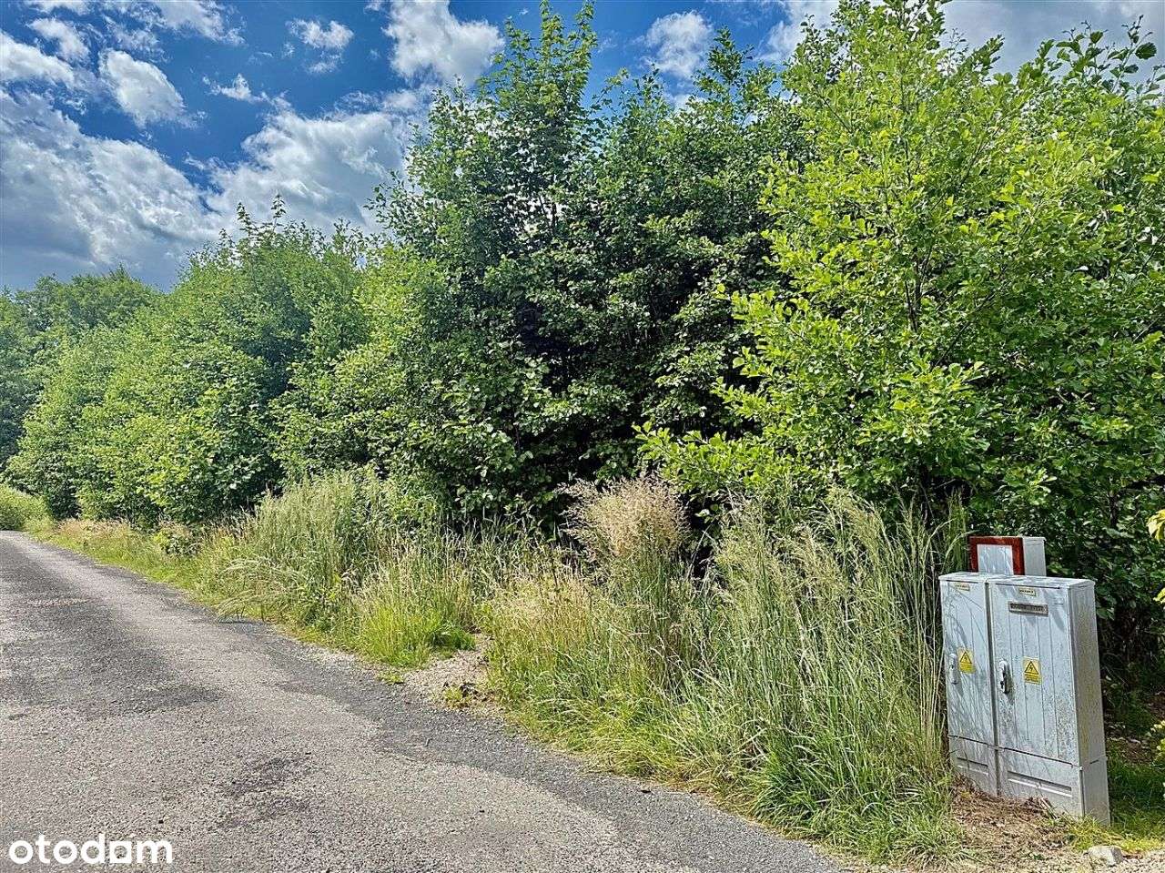 Oświęcim Zaborze Borowiec | działki na sprzedaż-5